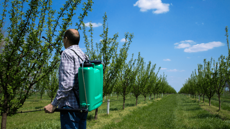 Sunpyrifos 48% EC (Chlorpyrifos-Ethyl) Insecticide – Powerful Broad-Spectrum Pest Control for Agriculture & Public Health in Ghana