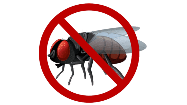 FlyBait Microtoxic – Effective Indoor Fly Control in Ghana