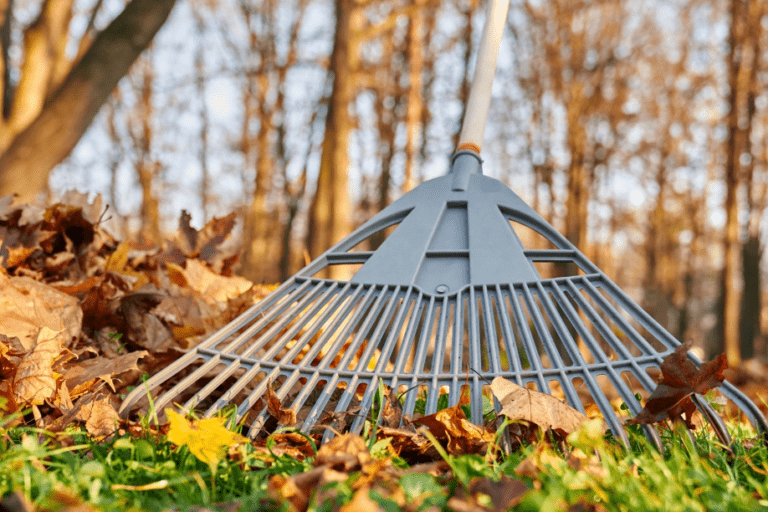 Garden Leaf Rake – Premium Leaf and Lawn Cleaning Tool for Ghanaian Gardens