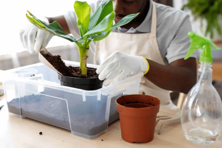 Dresscare Advanced Seed-Care System for Ultimate Crop Protection in Ghana