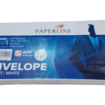 Standard White Envelope