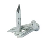 Common Nails - Image 3