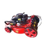 Edon Lawn Mower - Image 2