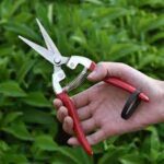Hand Garden Pruning Shears - Image 2