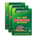Green Catch Rat And Glue Rat Cather Trap